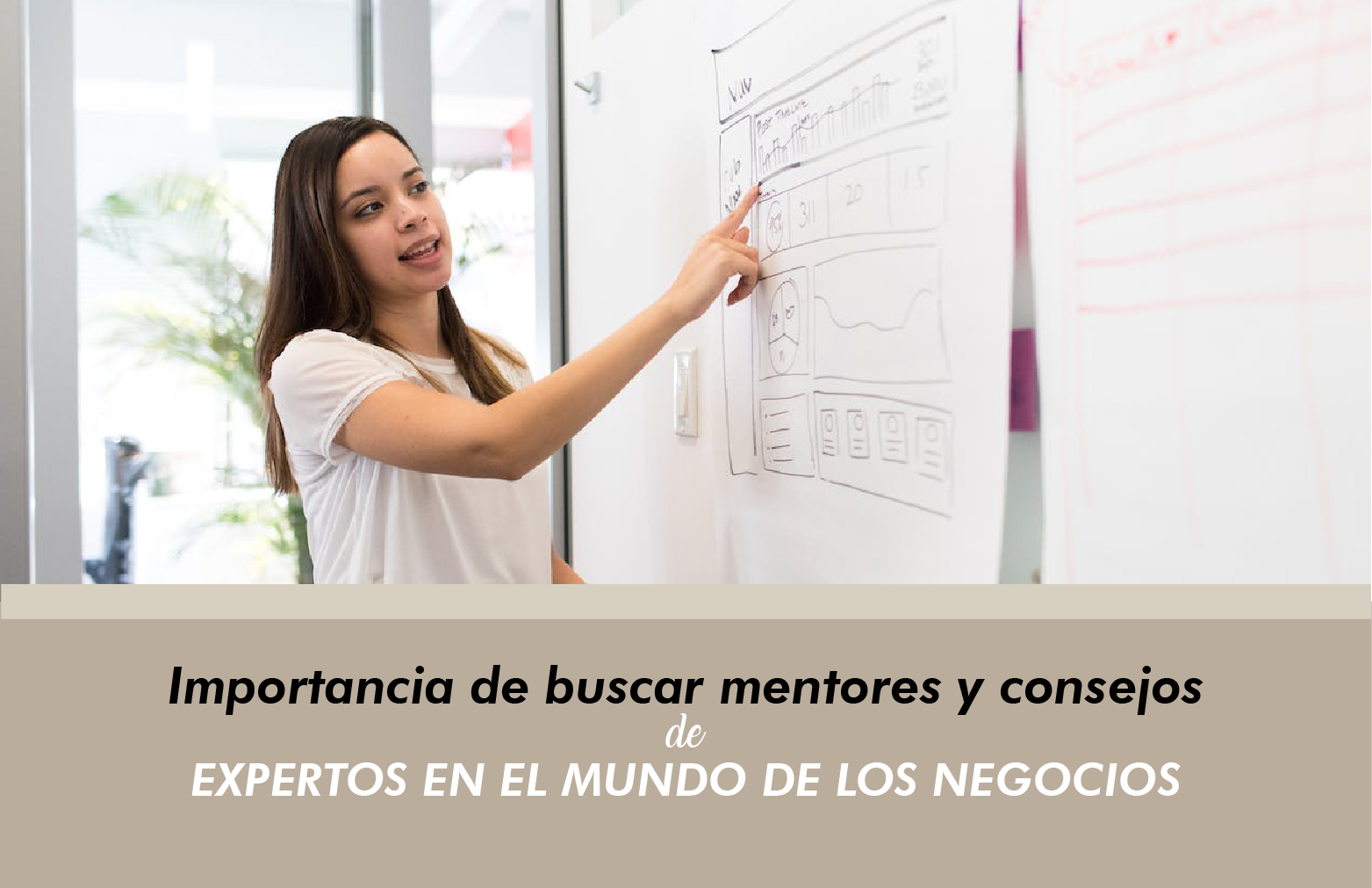 Importancia de buscar mentores y consejos de expertos en el mundo de los negocios