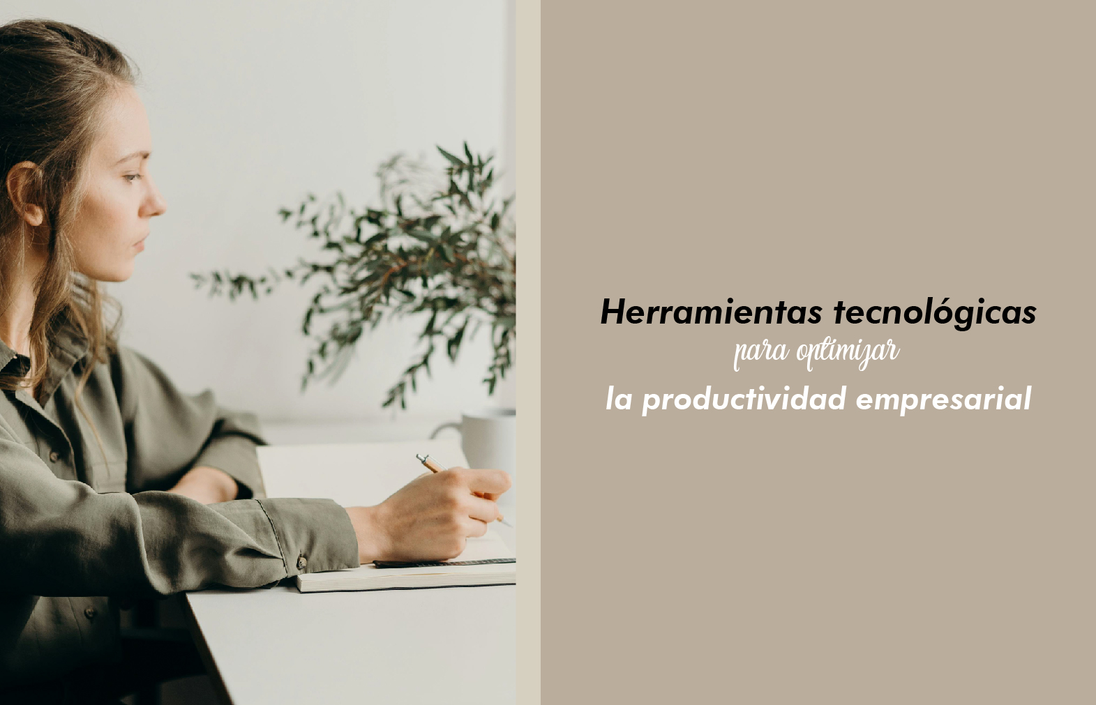 Herramientas tecnológicas para optimizar la productividad empresarial